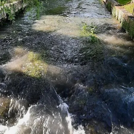 Aromas Del Jiloca * 칼라모차