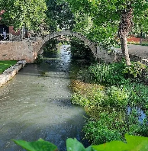 Aromas Del Jiloca * Calamocha