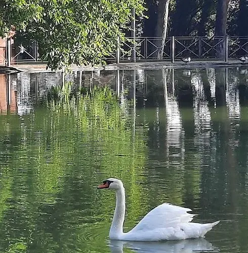 Lägenhet Aromas Del Jiloca