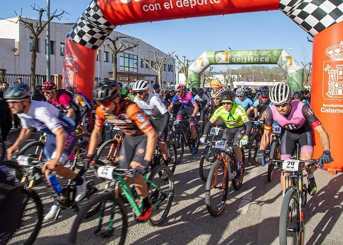 Lägenhet Aromas Del Jiloca *