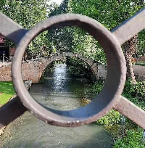 Aromas Del Jiloca Calamocha